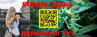 индика Ирбит