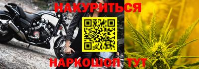 индика Ирбит