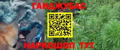 индика Ирбит