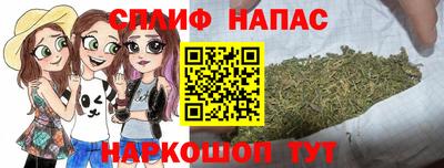 индика Ирбит