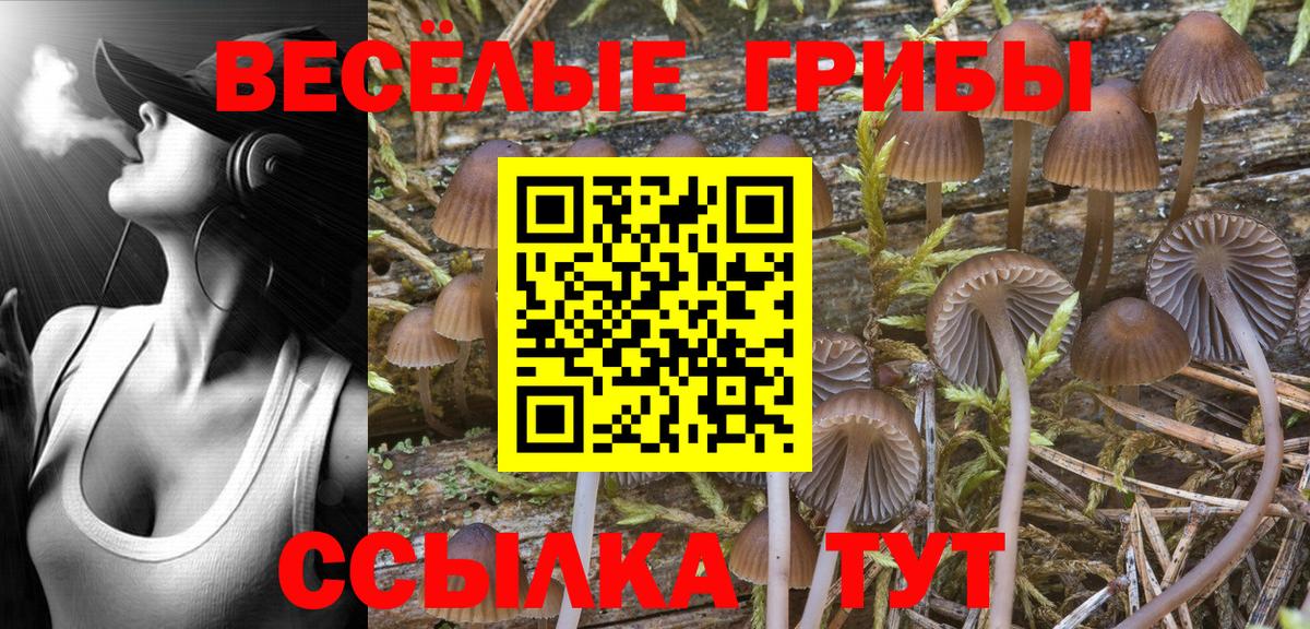 Кумертау  Галлюциногенные грибы GOLDEN TEACHER  Вход с VPN 